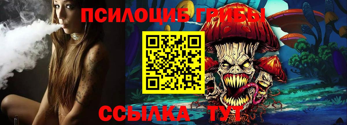 Псилоцибиновые грибы Cubensis Великие Луки